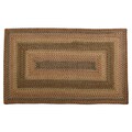 Spanish Moss Braided Indoor/ Outdoor Rug (2' x 3')
