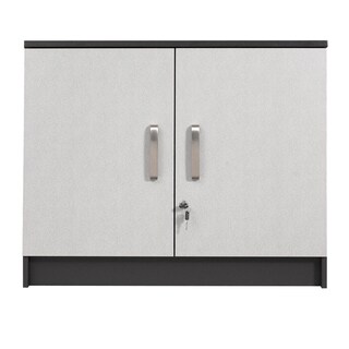 Talon Garage Charcoal Stipple 2-door Wall Cabinet