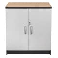 Talon Garage 2-Door Charcoal Stipple Base Cabinet