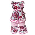 AnnLoren 2 piece Paisley & Pink Zebra Outfit Fits American Girl Doll