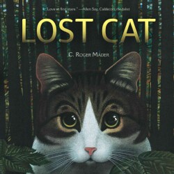 Lost Cat (Hardcover)