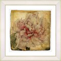 Studio Works Modern 'Vintage Botanical #54' Framed Print