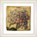 Studio Works Modern 'Vintage Botanical #18' Framed Print