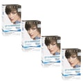 Clairol Nice 'n Easy Gray Solution 6A Light Ash Brown Hair Color Treatment (Pack of 4)