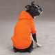 Zack & Zoey Basic Orange Dog Hoodie