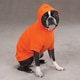 Zack & Zoey Basic Orange Dog Hoodie