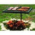 Texsport Heavy Duty Swivel Grill