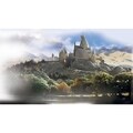 Harry Potter Chair Rail Prepasted Wall Art Mural (6' x 10.5')