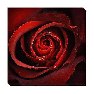 Roses are Red Oversized Gallery Wrapped Canvas