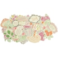 Flora Delight Collectables Cardstock Die-Cuts-Over 50 Pieces, Assorted Sizes