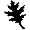 Punch Bunch 'Oak Leaf' Mega Giant Punch