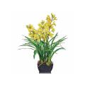 Square 36-inch Yellow Cymbidium Orchid Planter