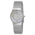 Skagen Women's 'Mesh' Stainless Steel Swarovski Crystals Quartz Watch