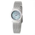 Skagen Women's 'Mesh' Stainless Steel Swarovski Crystals Quartz Watch