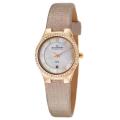 Skagen Women's 'Glitz' Rose Goldplated Stainless Steel and Champagne Fabric ...
