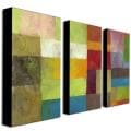 Michelle Calkins 'Abstract Color Panels IV' Canvas Art Set