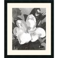 Marianne Hornbuckle 'White Magnolia' Framed Art Print