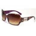 XOXO Women's Twilight Tort/Pink Havana Fashion Sunglasses