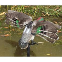 Edge by Expedite Rapid Flyer Teal Duck Decoy