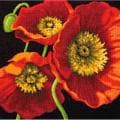 Red Poppy Trio Needlepoint Kit