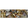 Kathie McCurdy 'Rocks' Canvas Art