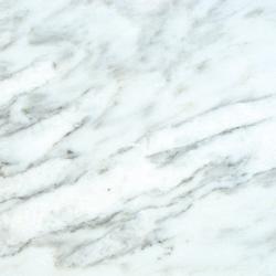 Arabescato Carrara 18x18-inch Tile (Pack of 5)