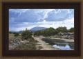 Greg Glowka 'Seco Creek' Framed Print