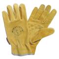 WWG Original Womenswork Large Pigskin Glove