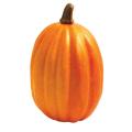 Good Tidings 11-inch Artificial Decorative Pumpkin