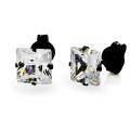 West Coast Jewelry Stainless Steel 5 mm Cubic Zirconia Stud Earrings