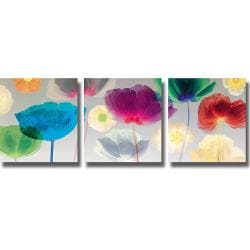 Robert Mertens 'Poppy Panorama' 3-piece Canvas Art Set
