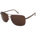 Calvin Klein CK7255S Men's Unisex Aviator Sunglasses