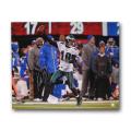 DeSean Jackson Autographed Photo