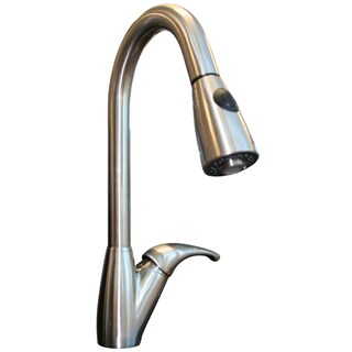 Langly Stainless Steel Pull Down Kitchen Faucet