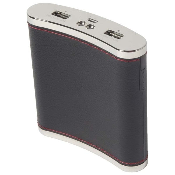 Digital Treasures PowerFlask