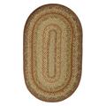 Colorado Cotton Braided Rug (2' x 3')