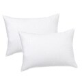 Home Accents Medium Firm Ultimate Feather Jumbo-size Pillow (Set of 2)