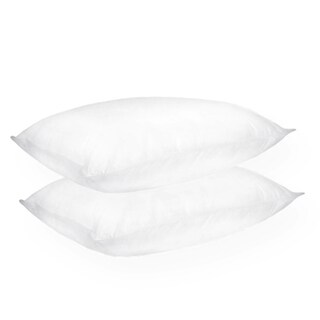 Home Accents Firm Support Density Jumbo-size Feather Pillow (Set of 2)