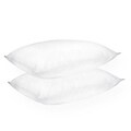 Home Accents Firm Support Density Jumbo-size Feather Pillow (Set of 2)