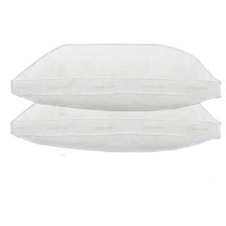 Home Accents Gusseted Extra Firm Feather Standard-size Pillow (Set of 2)