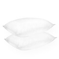 Home Accents Extra Firm Support Density Jumbo-size Feather Pillow (Set of 2)