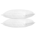 Home Accents Woven Dobby Feather Standard-size Pillow (Set of 2)