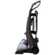 Bissell 36Z9 DeepClean Deluxe Pet Vacuum