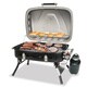 Blue Rhino Outdoor Gas Grill