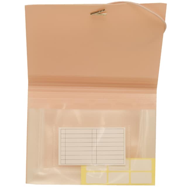 Hudson Envelope Baby Pink Coupon size Expanding Files (Pack of 12