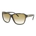Chloe Women's 'Alysse' Fashion Sunglasses