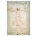 Leonardo da Vinci 'The Proportions of the Human Figure' Art
