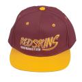 Washington Redskins Retro NFL Snapback Hat