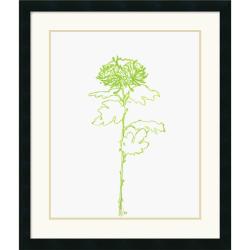 Filippo Ioco 'A Chrysanthemum II' Framed Art Print