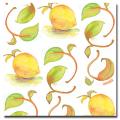 Wendra 'Lemons' Canvas Art